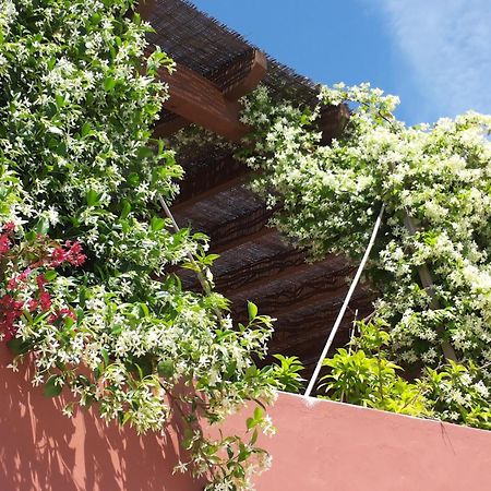 Bed and Breakfast Gato Preto De Silves - Adults Only Exterior foto