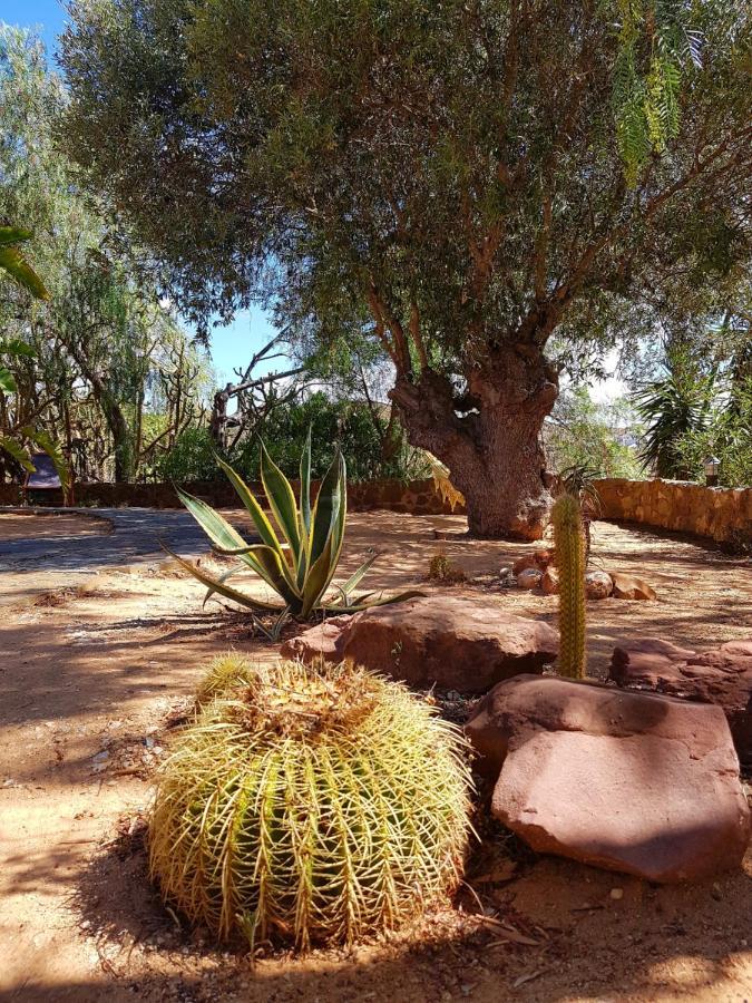 Bed and Breakfast Gato Preto De Silves - Adults Only Exterior foto